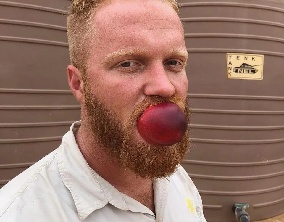 GingerFun