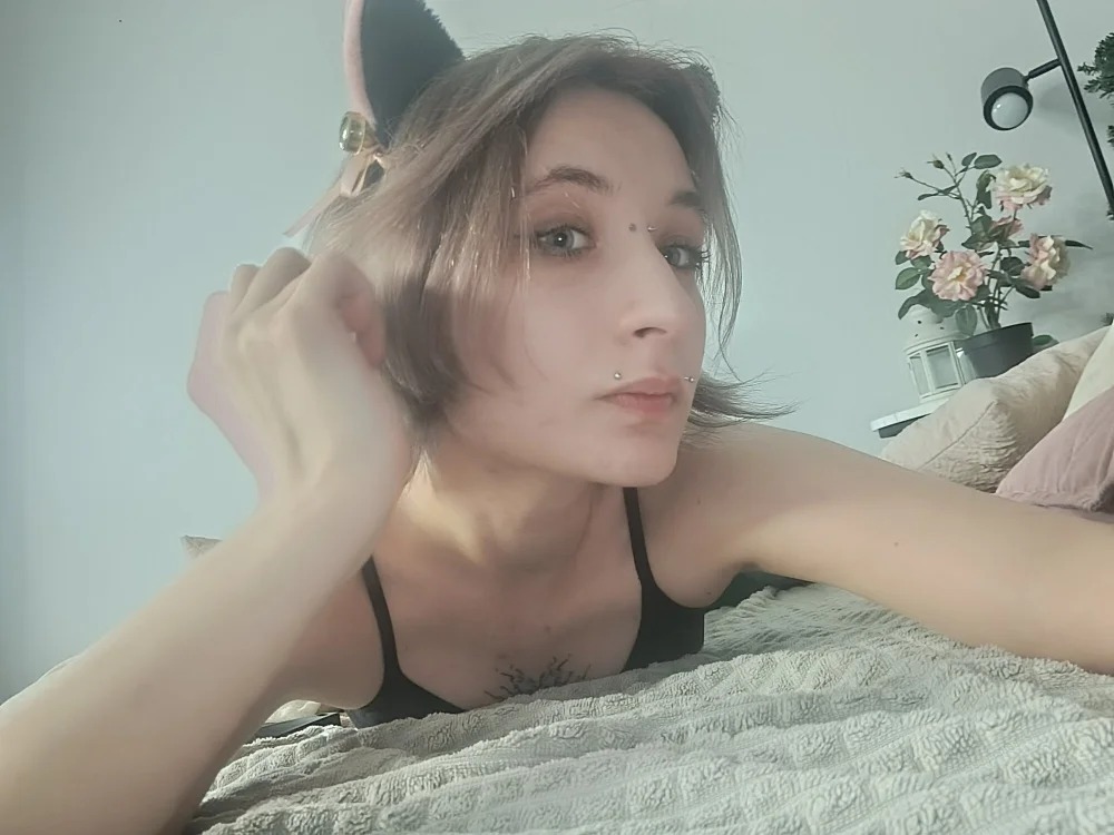 WickedPaws