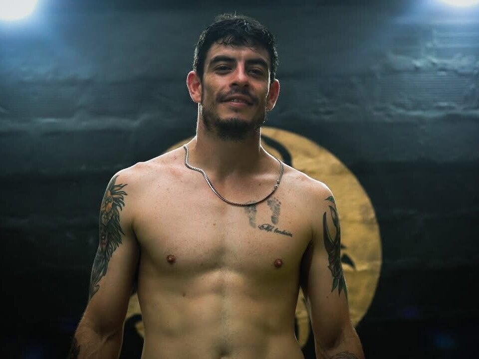 damian_bull