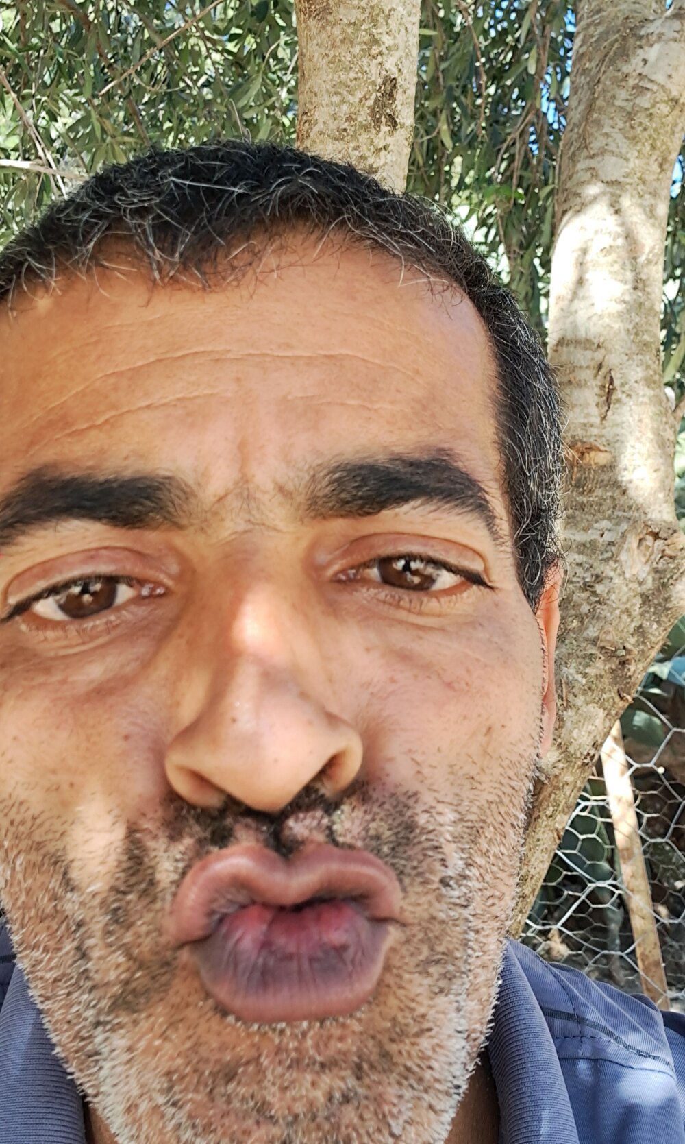 ramdhanov
