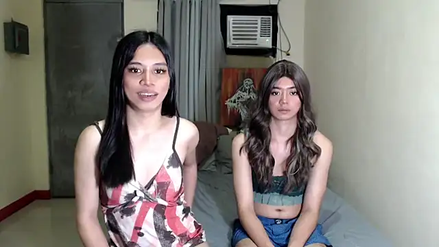 ursassytrans